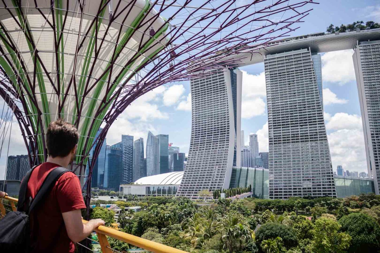 OCBC Skyway, Gardens by the Bay attractions
