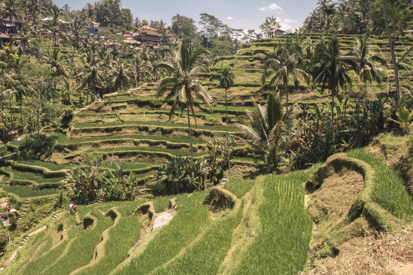 A Months Budget Travel Breakdown For Bali – It doesn’t Have To Be Expensive!