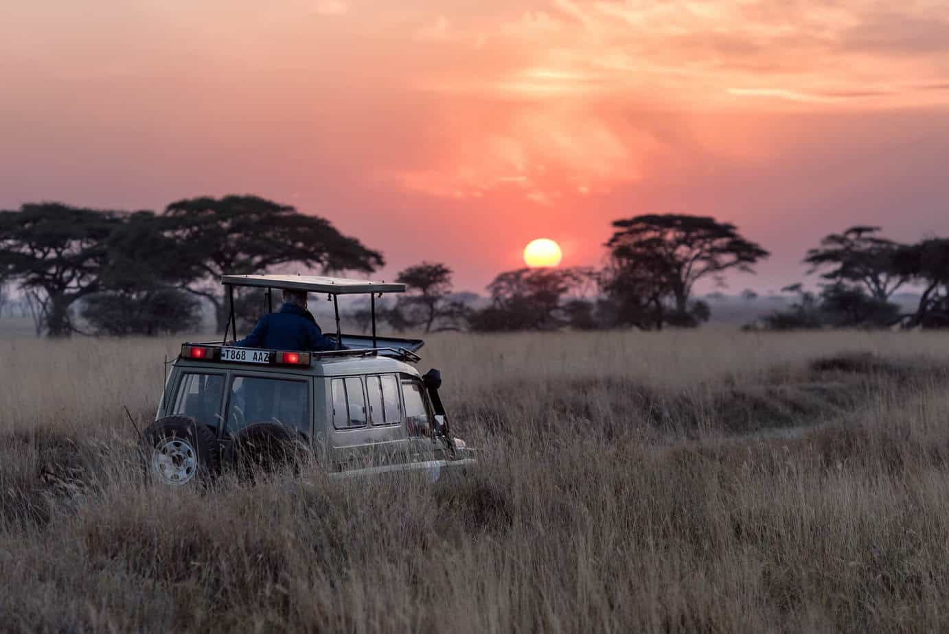 Jeep driving through the African Bush at sunset, Africa