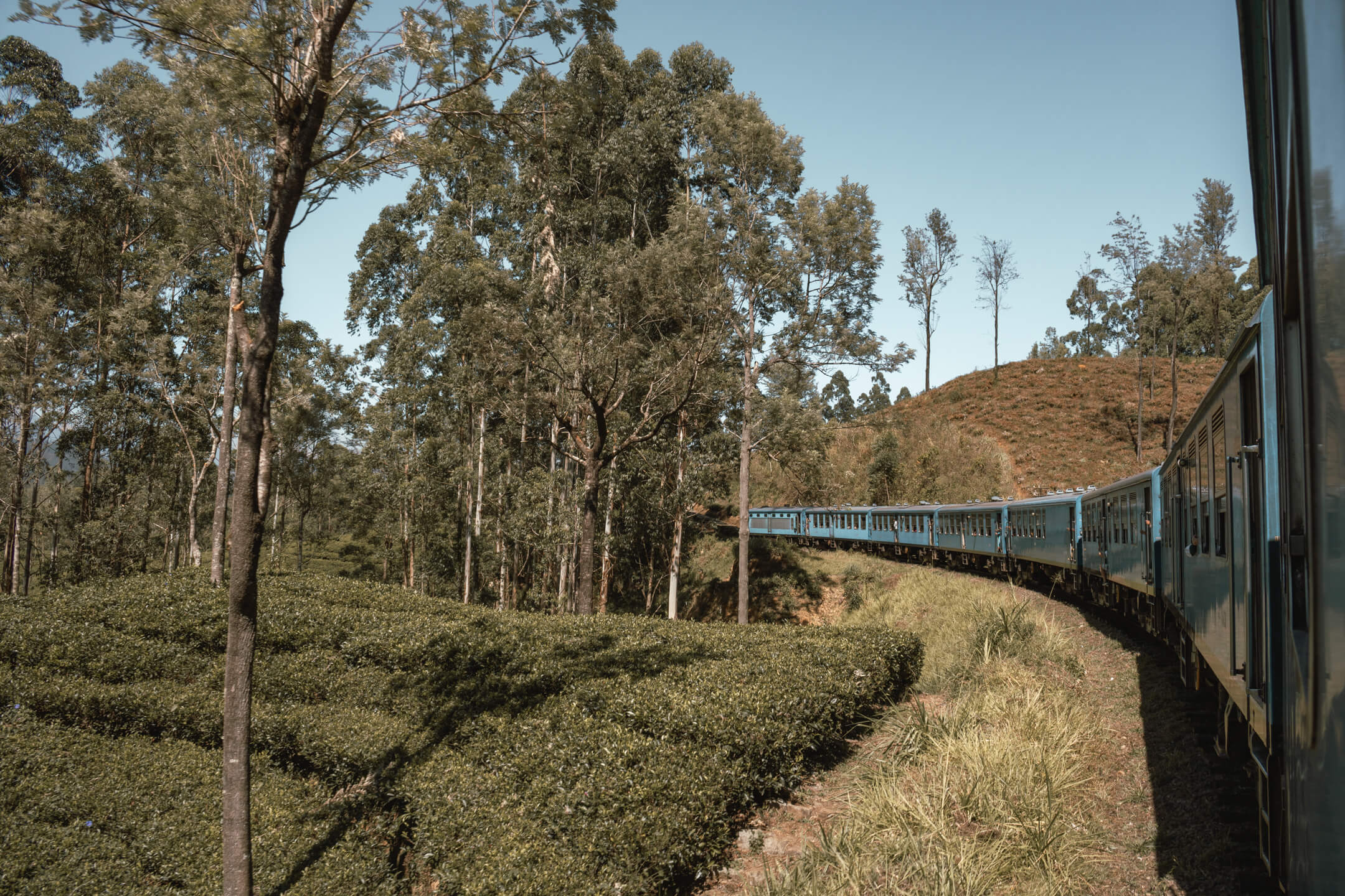 Kandy To Ella Train – Sri Lanka’s Best Train Journey (Info & Tips)