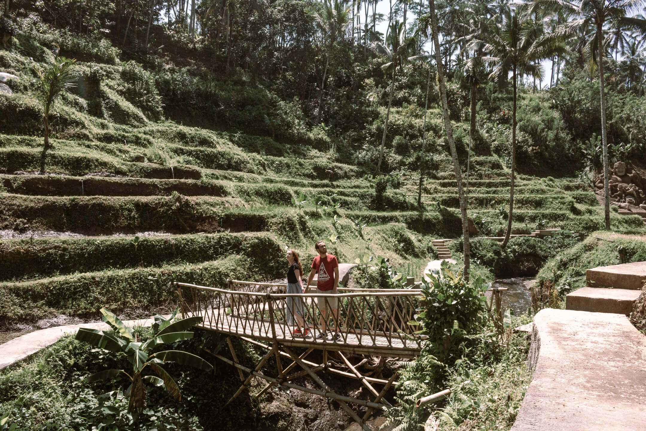 Bali Swings Rice Terrace in Ubud