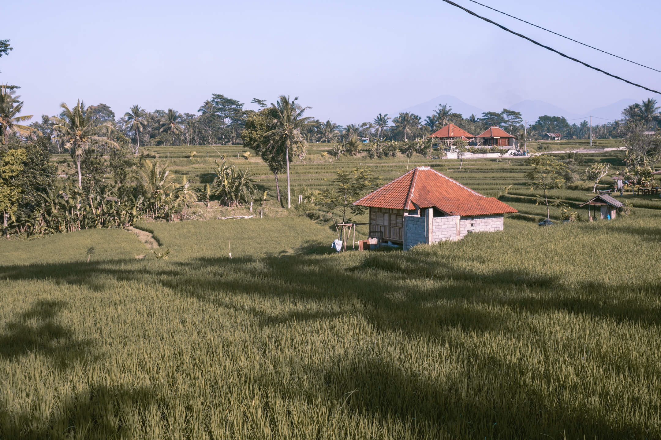 The views from the Campuhan Ridge Walk- a must for any Ubud travel itinerary