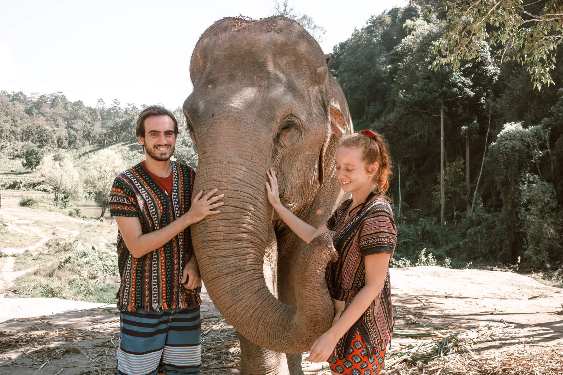 The Elephant Jungle Sanctuary in Thailand