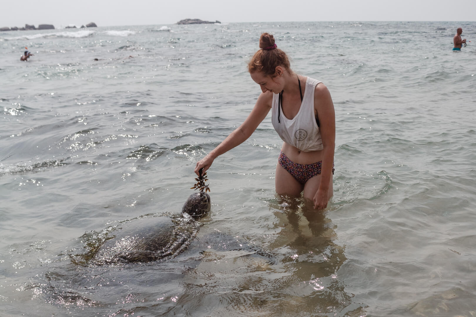 The Best Places To Swim With Turtles In Sri Lanka