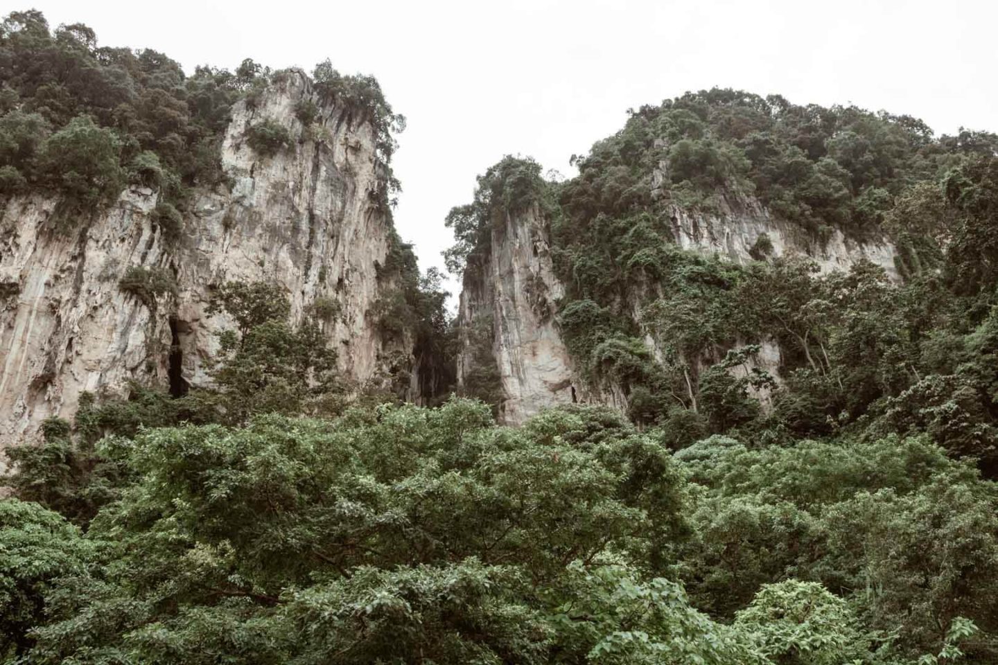 Batu Caves hillside