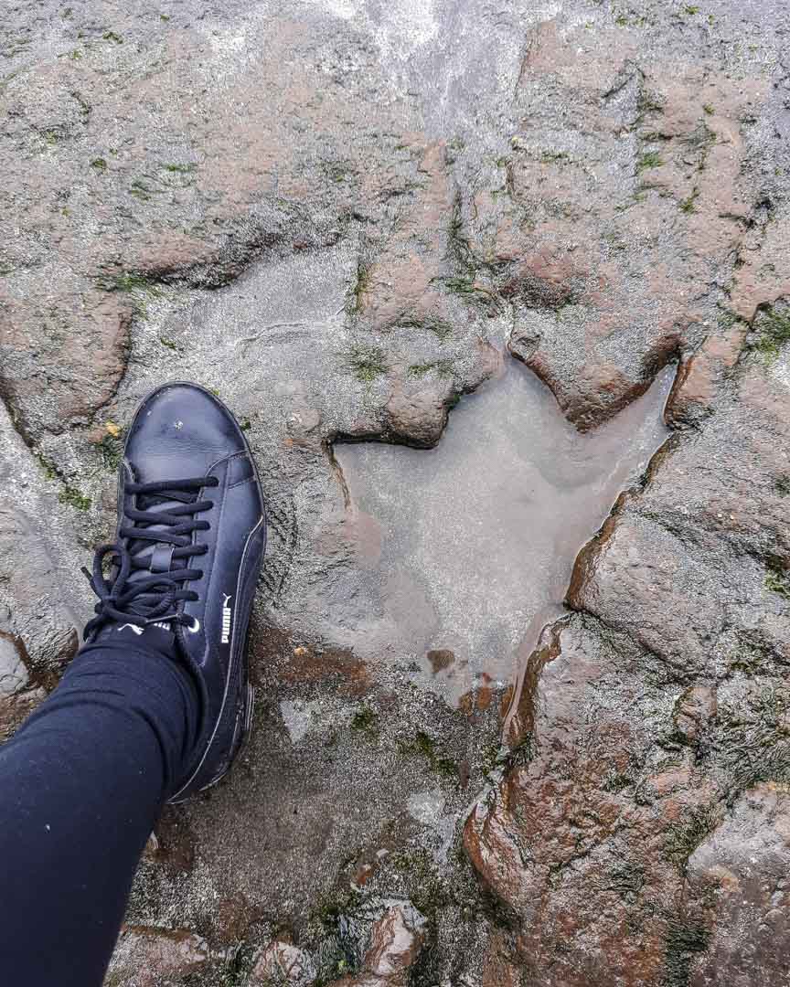 Dinosaur footprints on the Isle of Skye