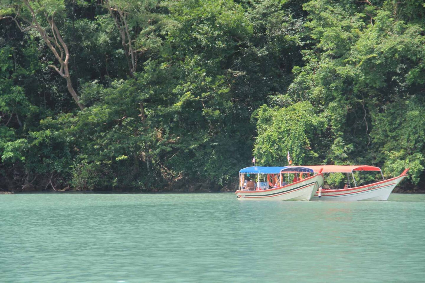 Langkawi mangrove tour