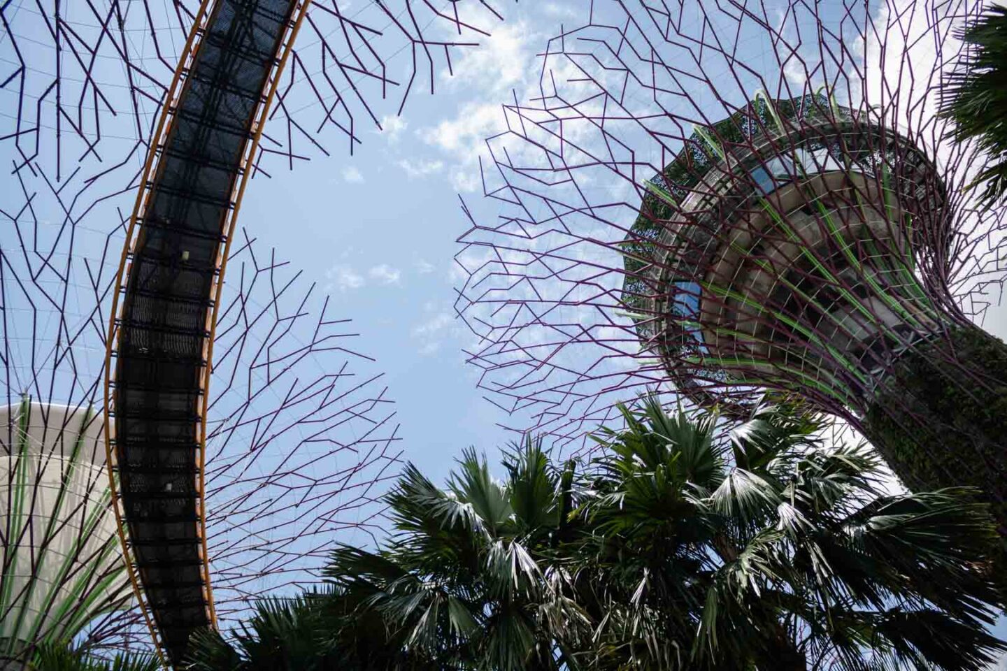 Supertree Observatory, Gardens by the Bay