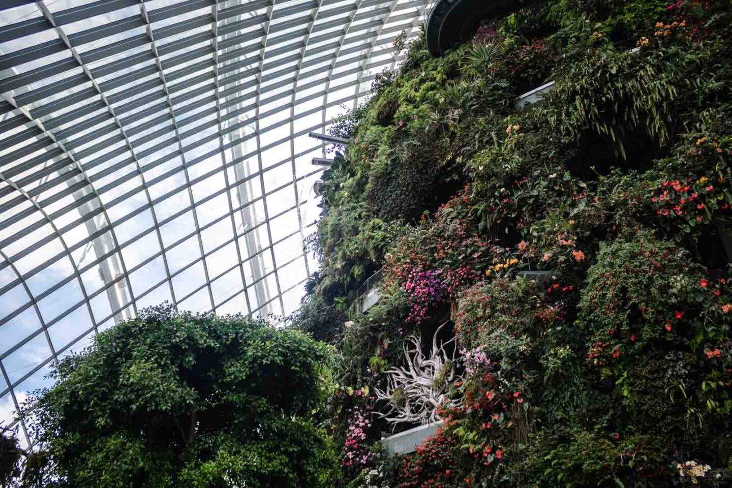 Singapore sustainability efforts, Flower Dome