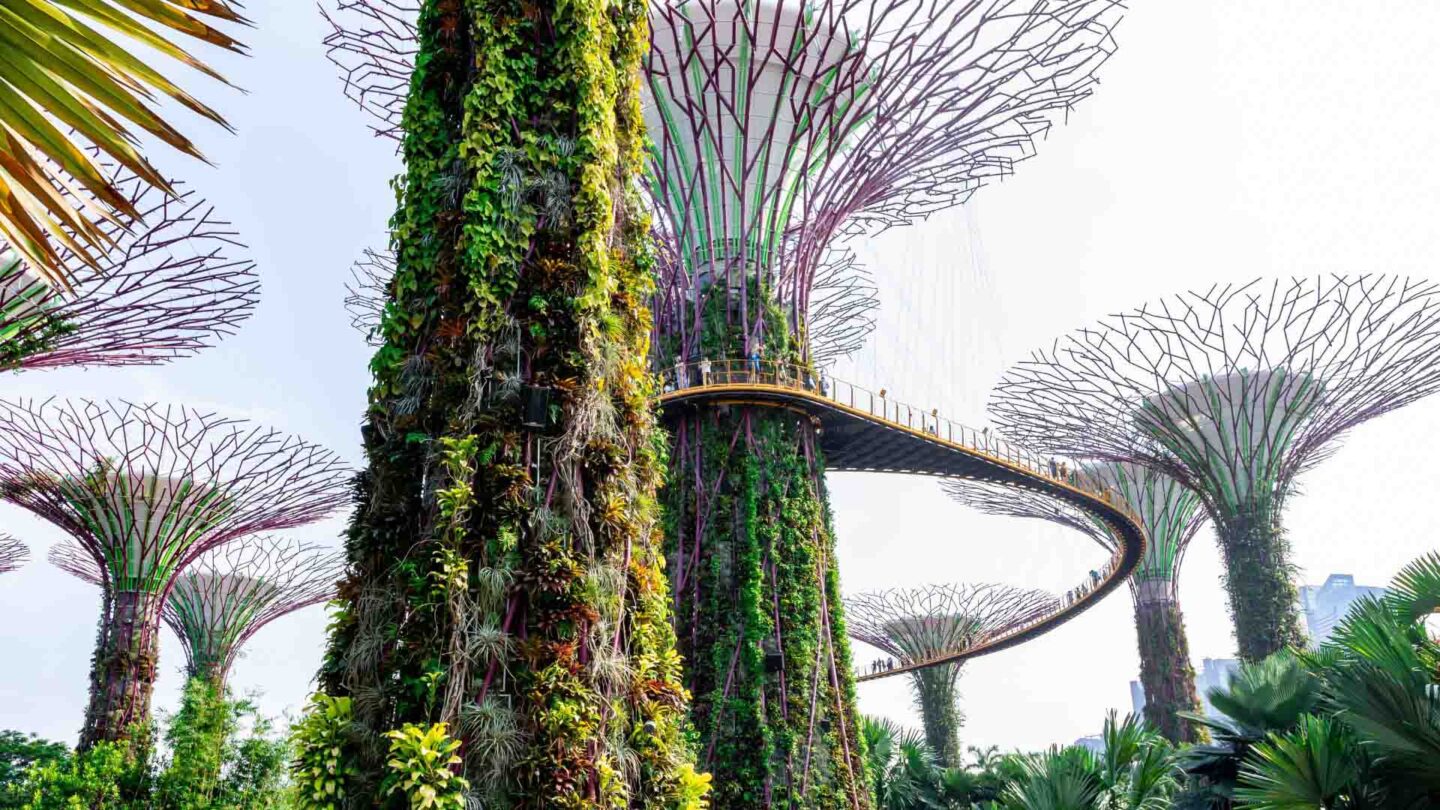 visiting Gardens by the Bay