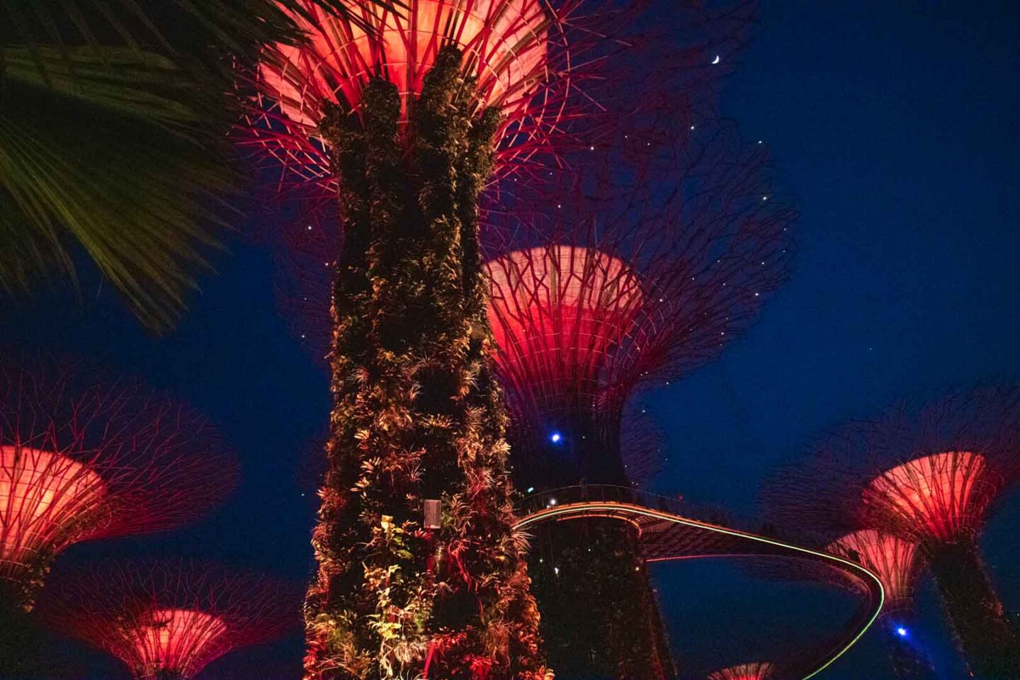Gardens by the Bay show