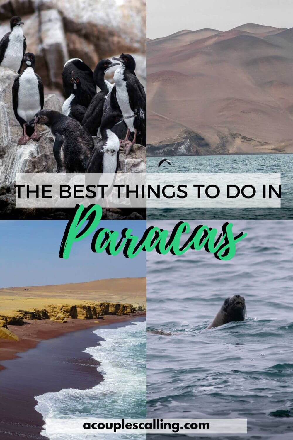 Things to do in Paracas