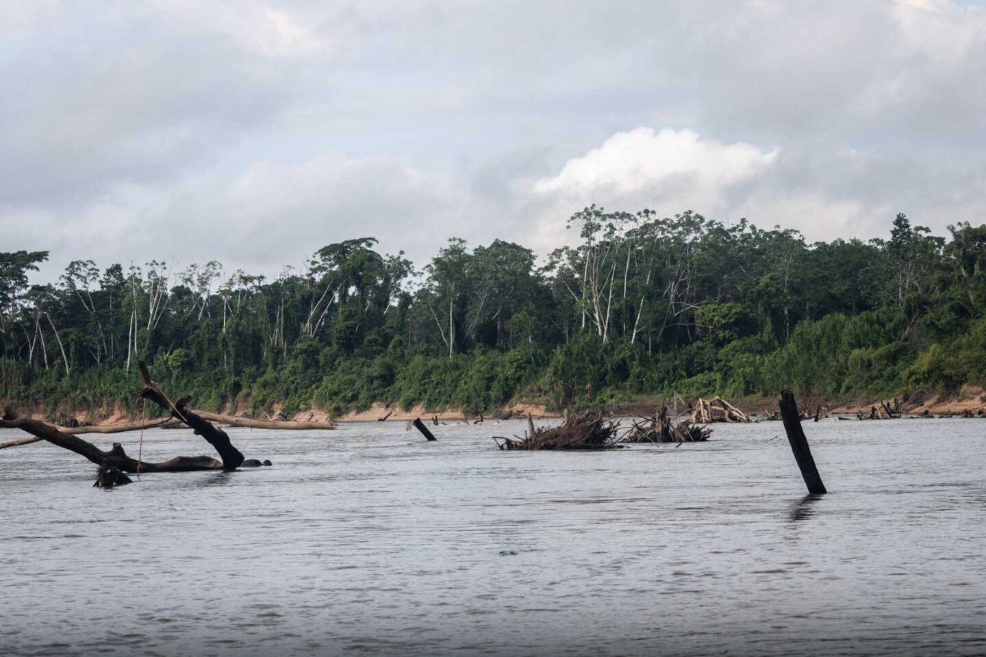 Amazon River, Tambopata National Reserve