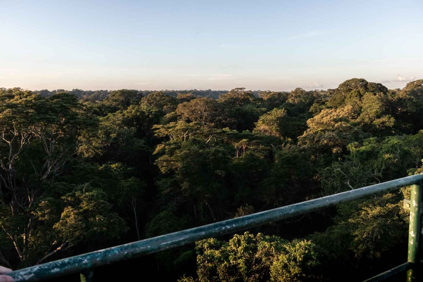 Amazon Rainforest canopy tower