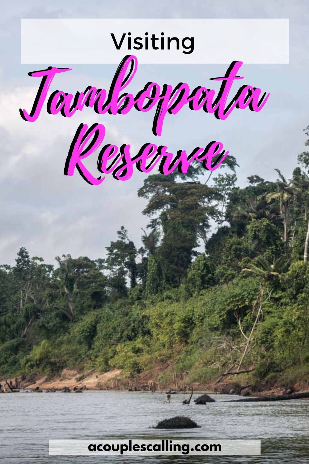 Visiting Tambopata National Reserve