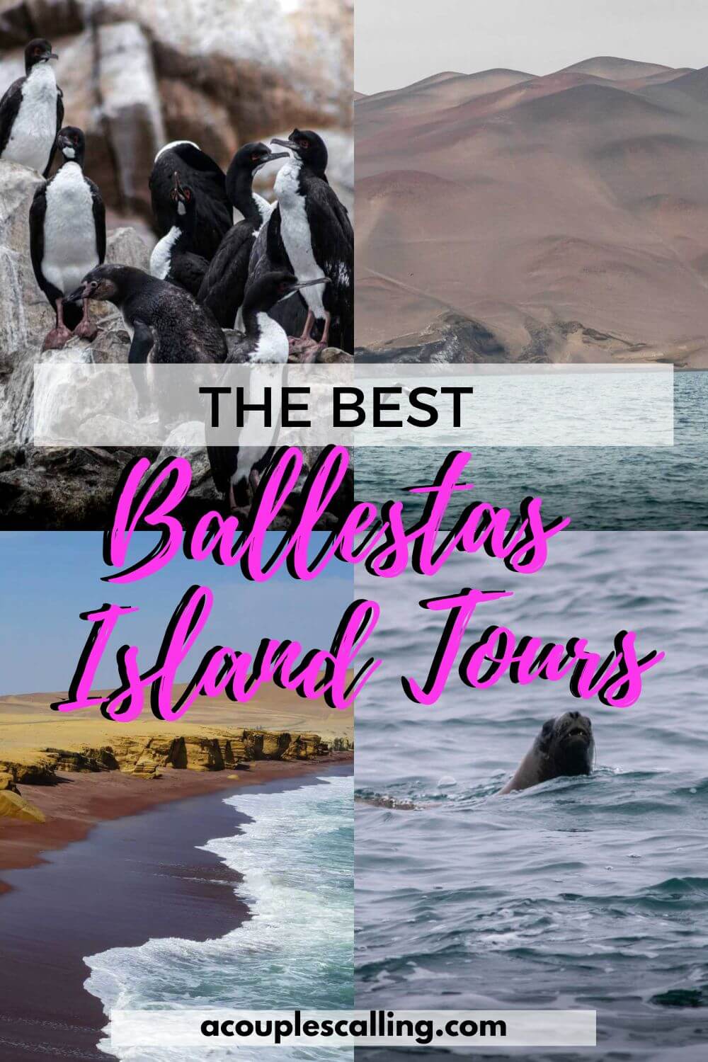Ballestas Island tours