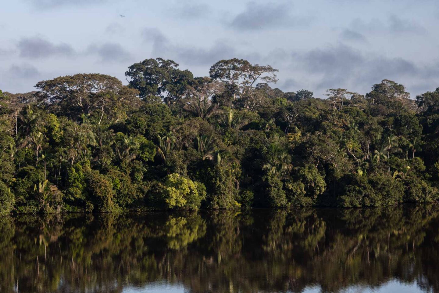 Tambopata River and Amazon Rainforest