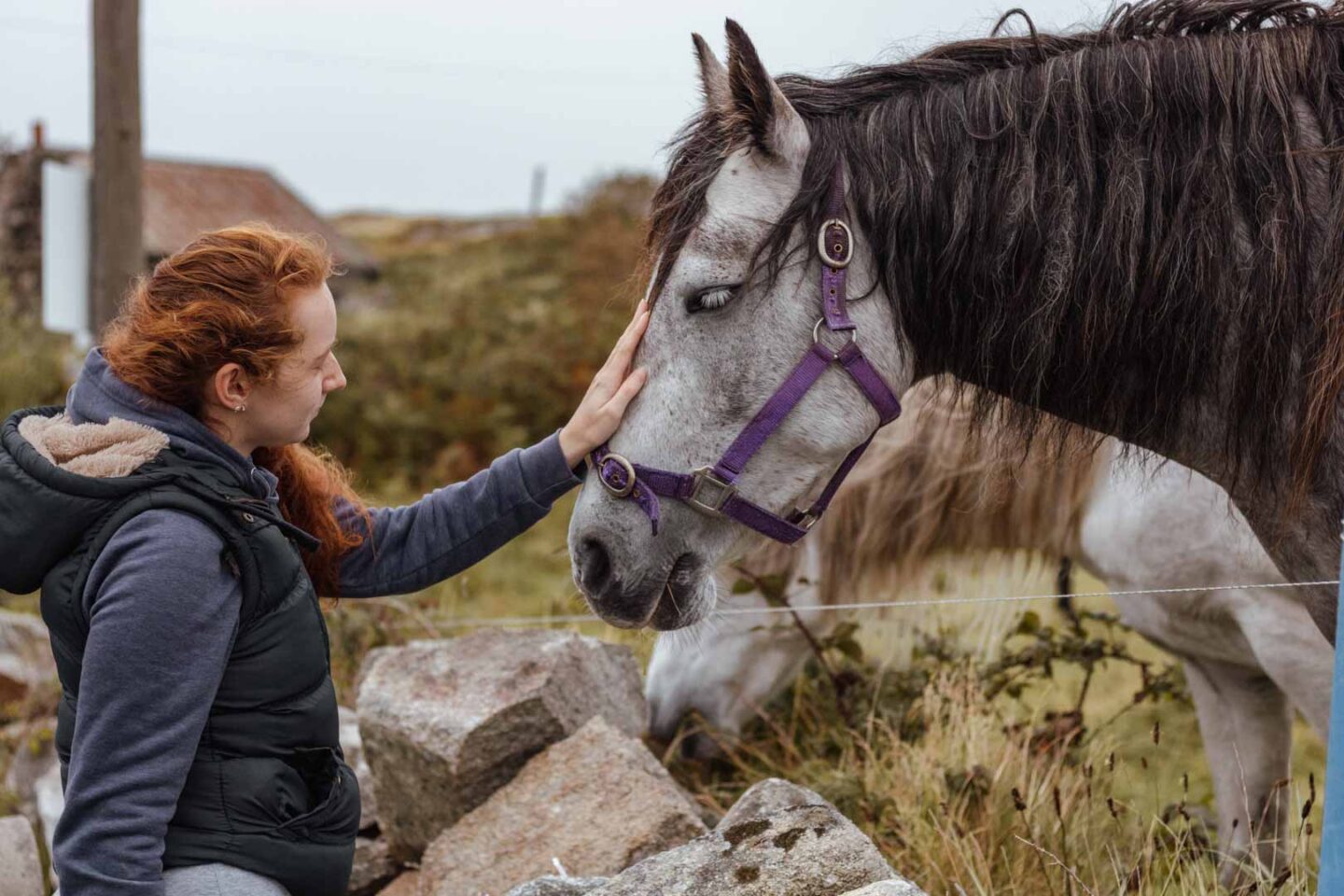 girl with a horse in Ireland