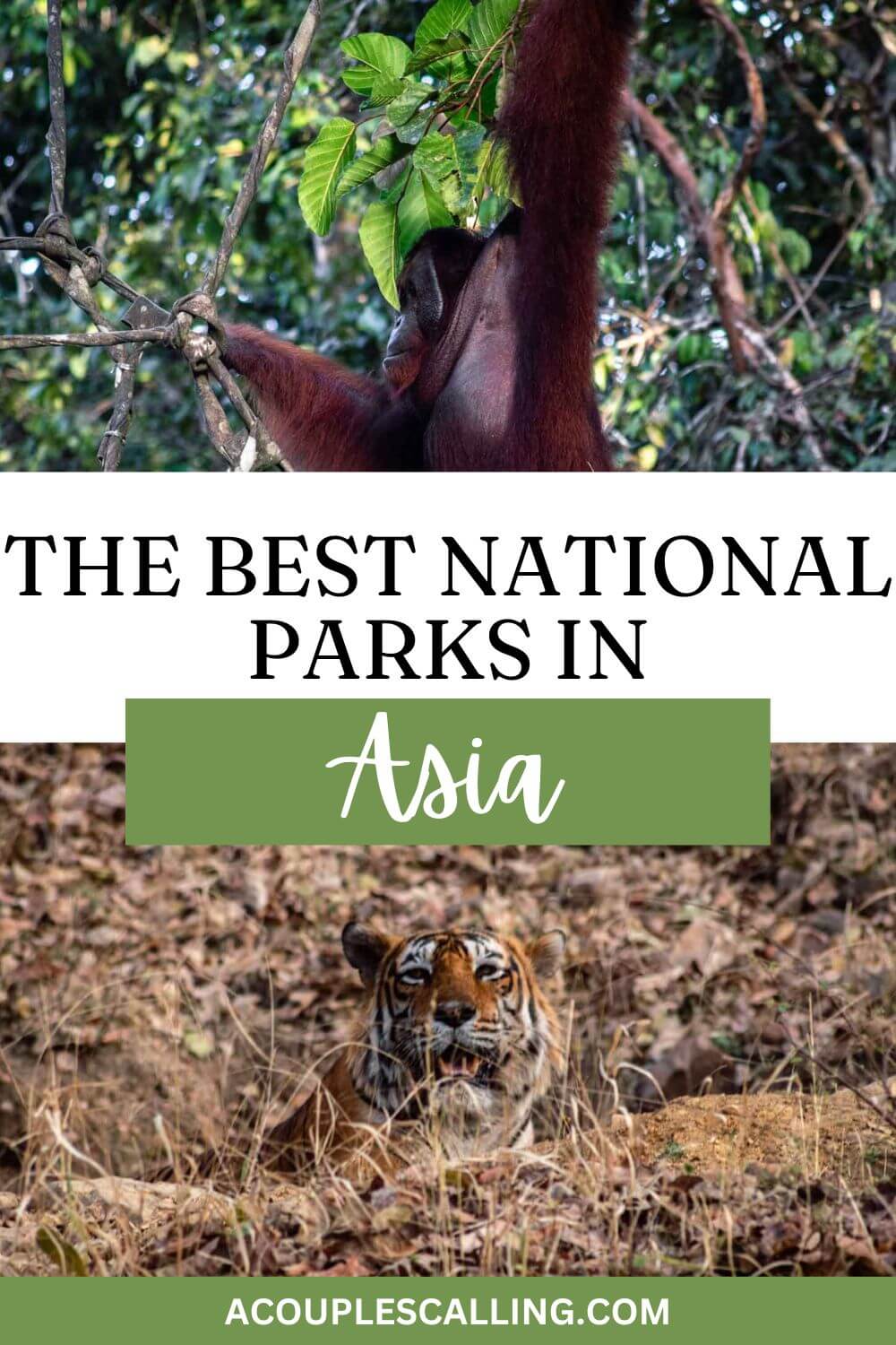 National parks in Asia