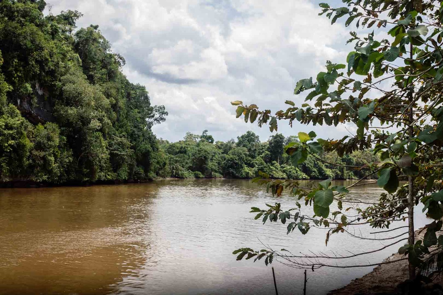 River Kinabatangan in Borneo