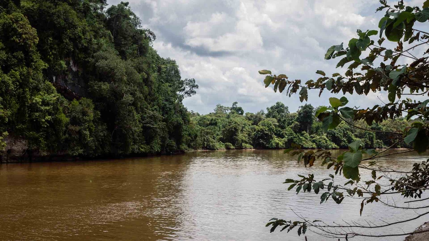 River Kinabatangan rainforest, Borneo