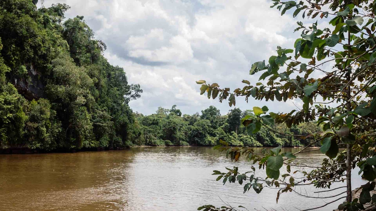Kinabatangan River, where to stay in Borneo