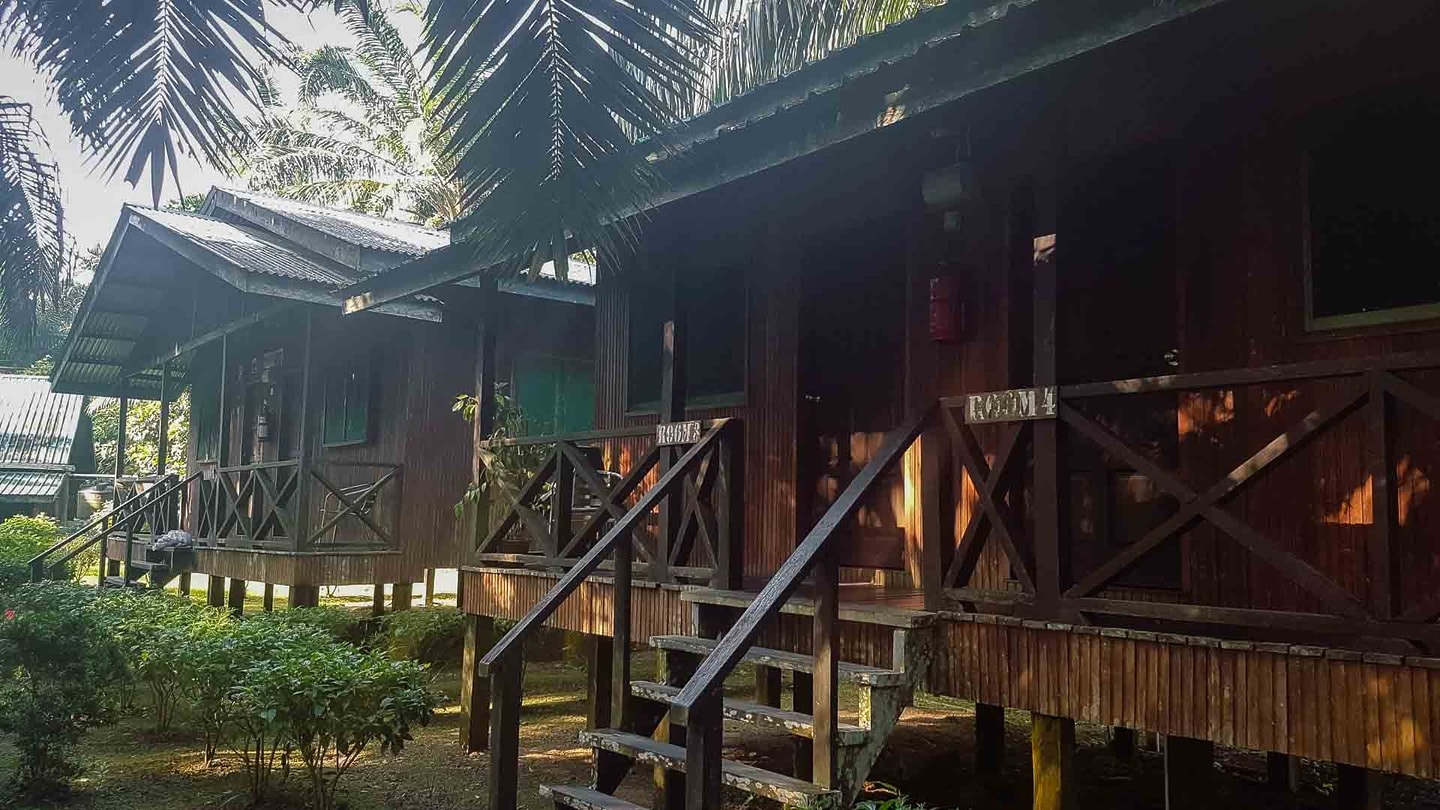 Kinabatangan River lodge, Borneo itinerary