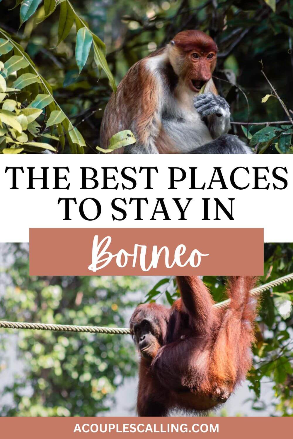Where to stay in Borneo