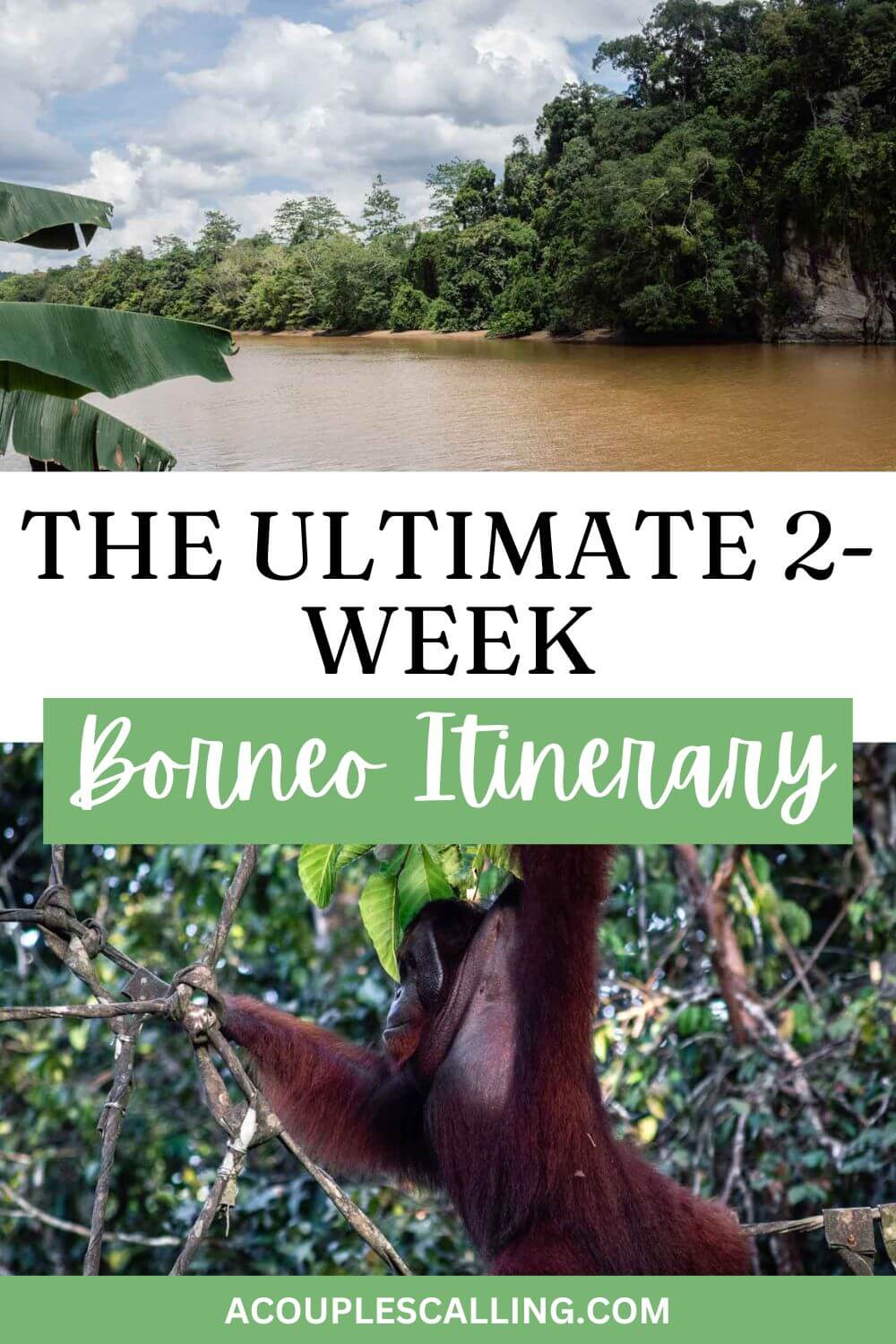 Borneo itinerary