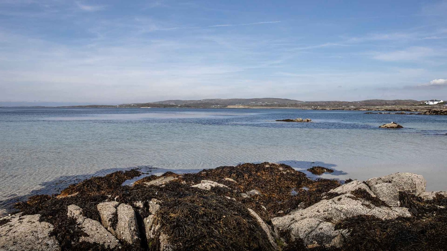 Dogs Bay in Ireland